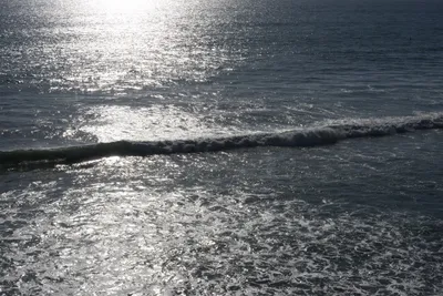 DSC_7005 (Large).JPG